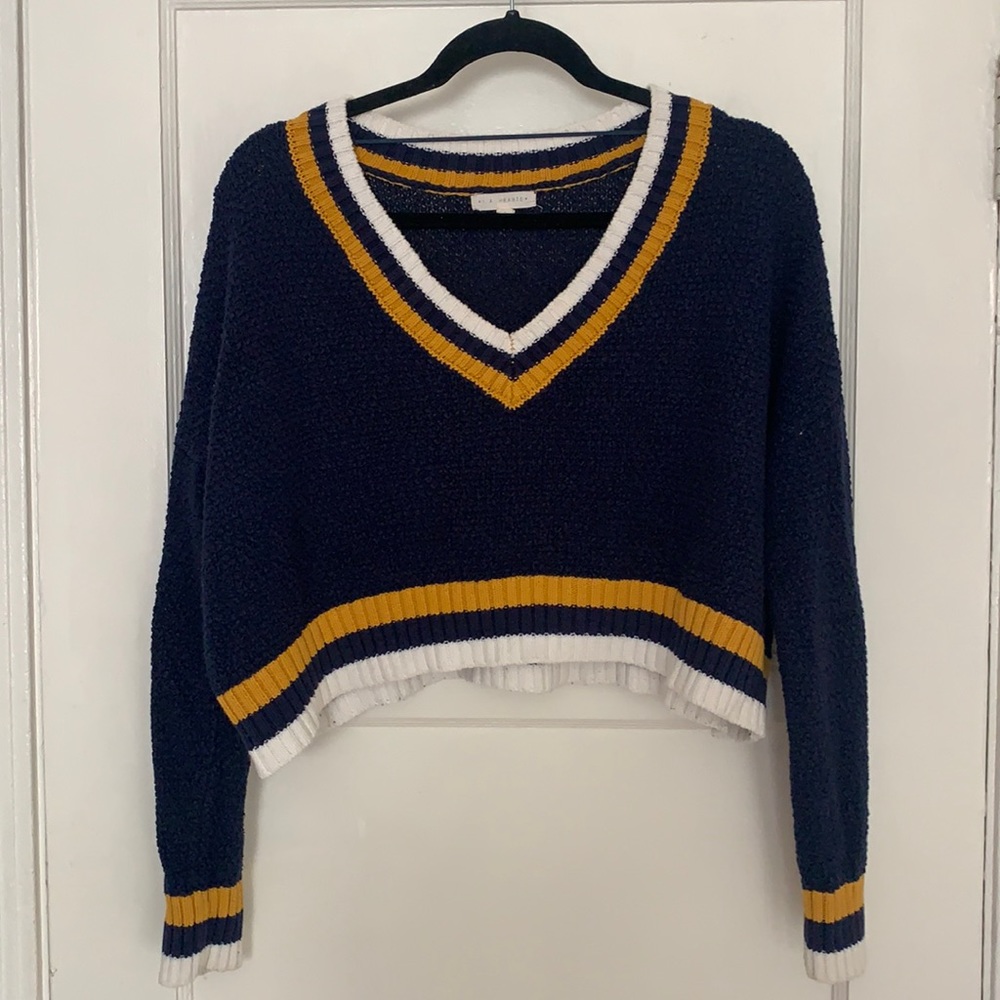 Urban Outfitters knit cropped V neck sweater